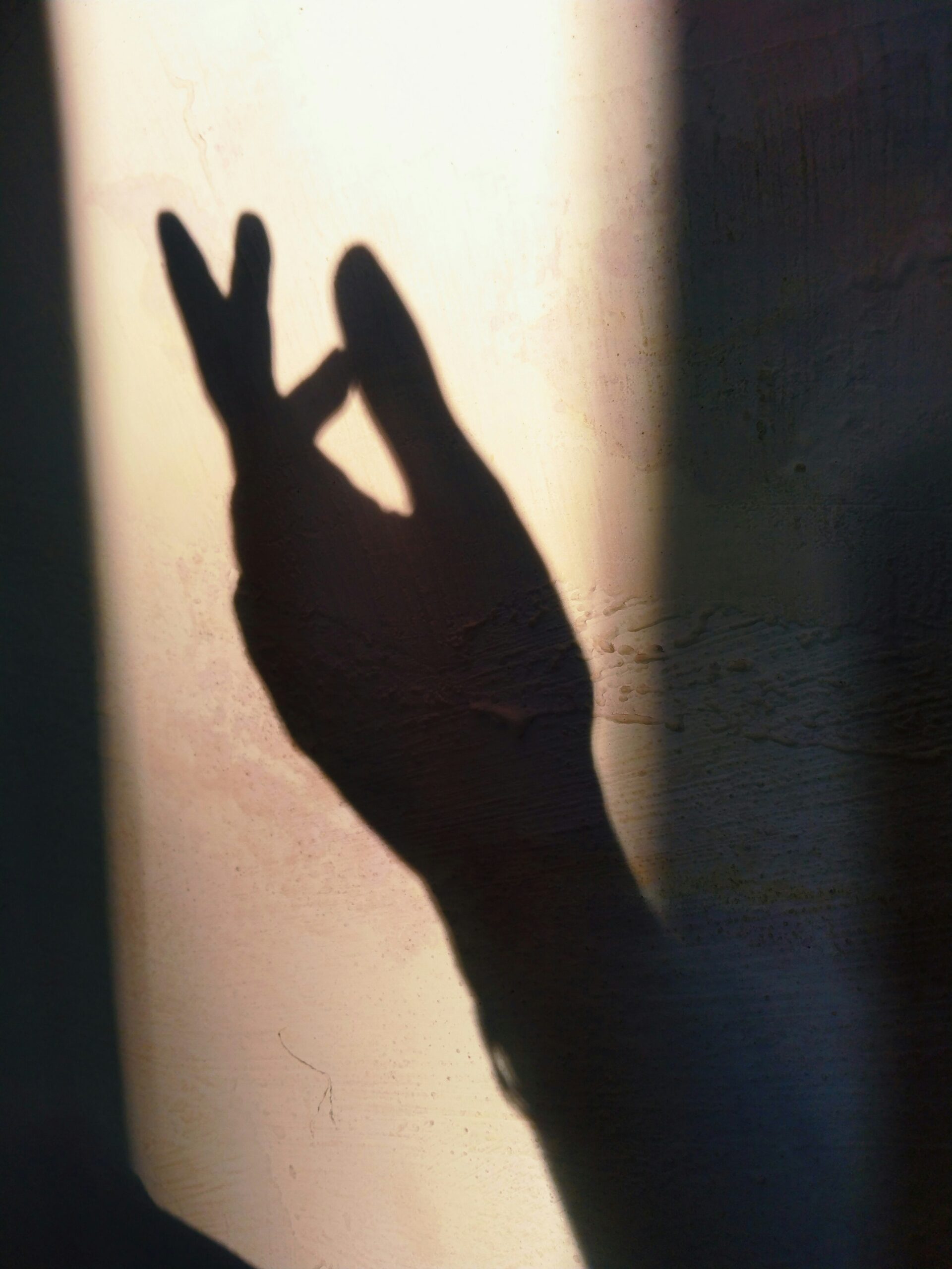 consultation psychologue en ligne
trauma
victime
humanitaires
EMDR